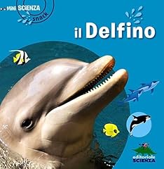 Delfino usato  Spedito ovunque in Italia 