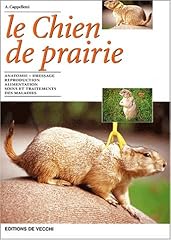 Chien prairie d'occasion  Livré partout en Belgiqu