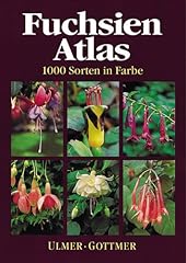Fuchsien atlas 1000 gebraucht kaufen  Wird an jeden Ort in Deutschland