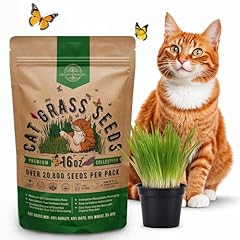 Organo republic cat for sale  Delivered anywhere in USA 