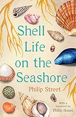 Shell life seashore for sale  Delivered anywhere in UK