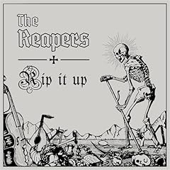 Rip silver vinyl for sale  Delivered anywhere in USA 