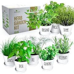 Deluxe herb garden for sale  Delivered anywhere in USA 