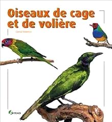 Oiseaux cage volière d'occasion  Livré partout en Belgiqu