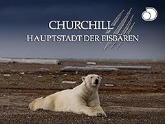 Churchill hauptstadt eisbären gebraucht kaufen  Wird an jeden Ort in Deutschland