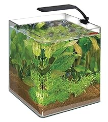 Wave acquario box usato  Spedito ovunque in Italia 
