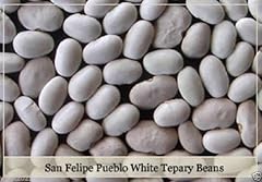 San felipe pueblo usato  Spedito ovunque in Italia 