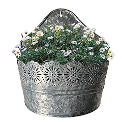 Lily home indoor for sale  Delivered anywhere in USA 