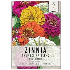 Seed needs thumbelina for sale  Delivered anywhere in USA 