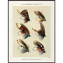 Salmon Flies Fish Print, Vintage Fishing Poster Wall for sale  Delivered anywhere in USA 