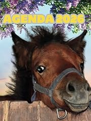 Agenda 2026 image d'occasion  Livré partout en France