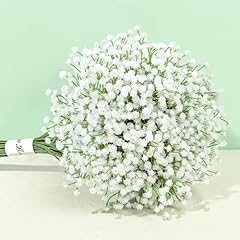 Pusuny baby breath for sale  Delivered anywhere in USA 