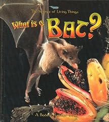 What bat d'occasion  Livré partout en France