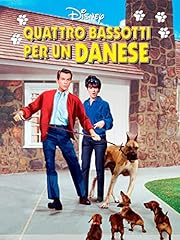 Quattro bassotti per usato  Spedito ovunque in Italia 