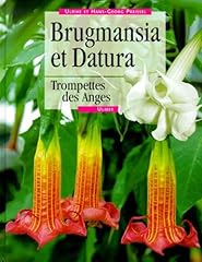 Brugmansia datura. trompettes for sale  Delivered anywhere in Ireland