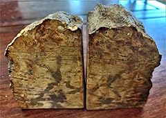 Petrified wood bookends for sale  Delivered anywhere in USA 