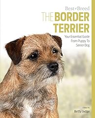 Border terrier best for sale  Delivered anywhere in UK