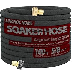 Linchoc home 100ft for sale  Delivered anywhere in USA 