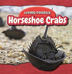 Horseshoe crabs d'occasion  Livré partout en France