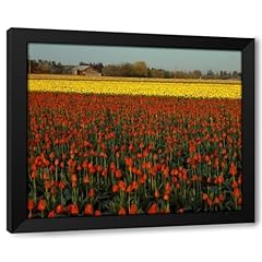 Artdirect tulips mt. for sale  Delivered anywhere in USA 