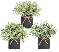 Mkono fake plants for sale  Delivered anywhere in USA 