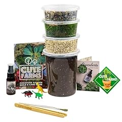 Cute farms terrarium for sale  Delivered anywhere in USA 