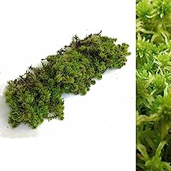 Fresh sphagnum moss for sale  Delivered anywhere in UK