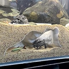 Aquarium cave decor for sale  Delivered anywhere in USA 