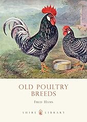 Old poultry breeds for sale  Delivered anywhere in Ireland