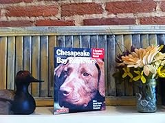 Chesapeake bay retrievers for sale  Delivered anywhere in UK