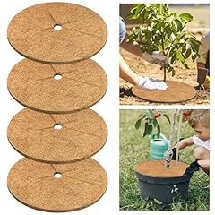 Legigo 4pcs coconut for sale  Delivered anywhere in USA 