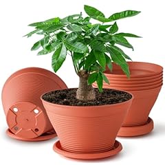 Rootrimmer pack inch for sale  Delivered anywhere in USA 
