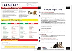 Pet safety fridge for sale  Delivered anywhere in USA 