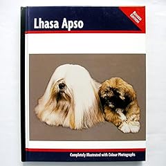 Lhasa apso for sale  Delivered anywhere in UK