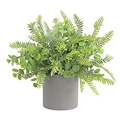 Onlyfifiyou fake plants for sale  Delivered anywhere in USA 