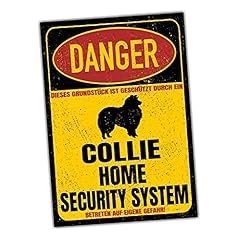 Collie langhaarcollie dog gebraucht kaufen  Wird an jeden Ort in Deutschland