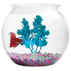 Aquatic wonder fish for sale  Delivered anywhere in USA 