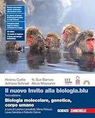 Nuovo invito alla usato  Spedito ovunque in Italia 