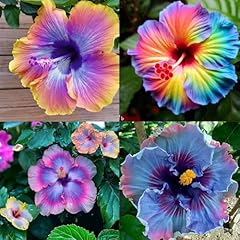 100 annual mixed for sale  Delivered anywhere in USA 
