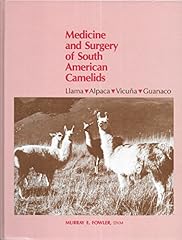Medicine surgery south for sale  Delivered anywhere in USA 