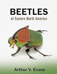 Beetles eastern north gebraucht kaufen  Wird an jeden Ort in Deutschland