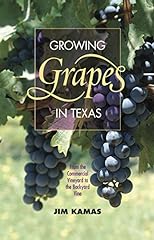 Growing grapes texas for sale  Delivered anywhere in USA 