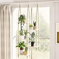 Bamworld window plant for sale  Delivered anywhere in USA 