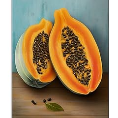 Dhwcaw fruit canvas for sale  Delivered anywhere in USA 