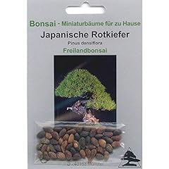 Tropica - Bonsai - pino rosso giapponese (Pinus densiflora) - 40 semi usato  Spedito ovunque in Italia 