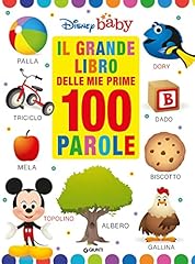 Grande libro delle usato  Spedito ovunque in Italia 