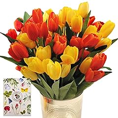 tulipe albatre d'occasion  Livré partout en France