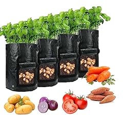 Ystp potato grow for sale  Delivered anywhere in UK
