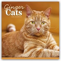 Ginger cats rothaarige gebraucht kaufen  Wird an jeden Ort in Deutschland