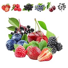 1100pcs mixed fruit for sale  Delivered anywhere in USA 